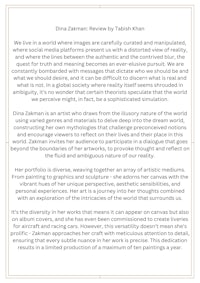 a document with the title of dr daniel zeichner's essay